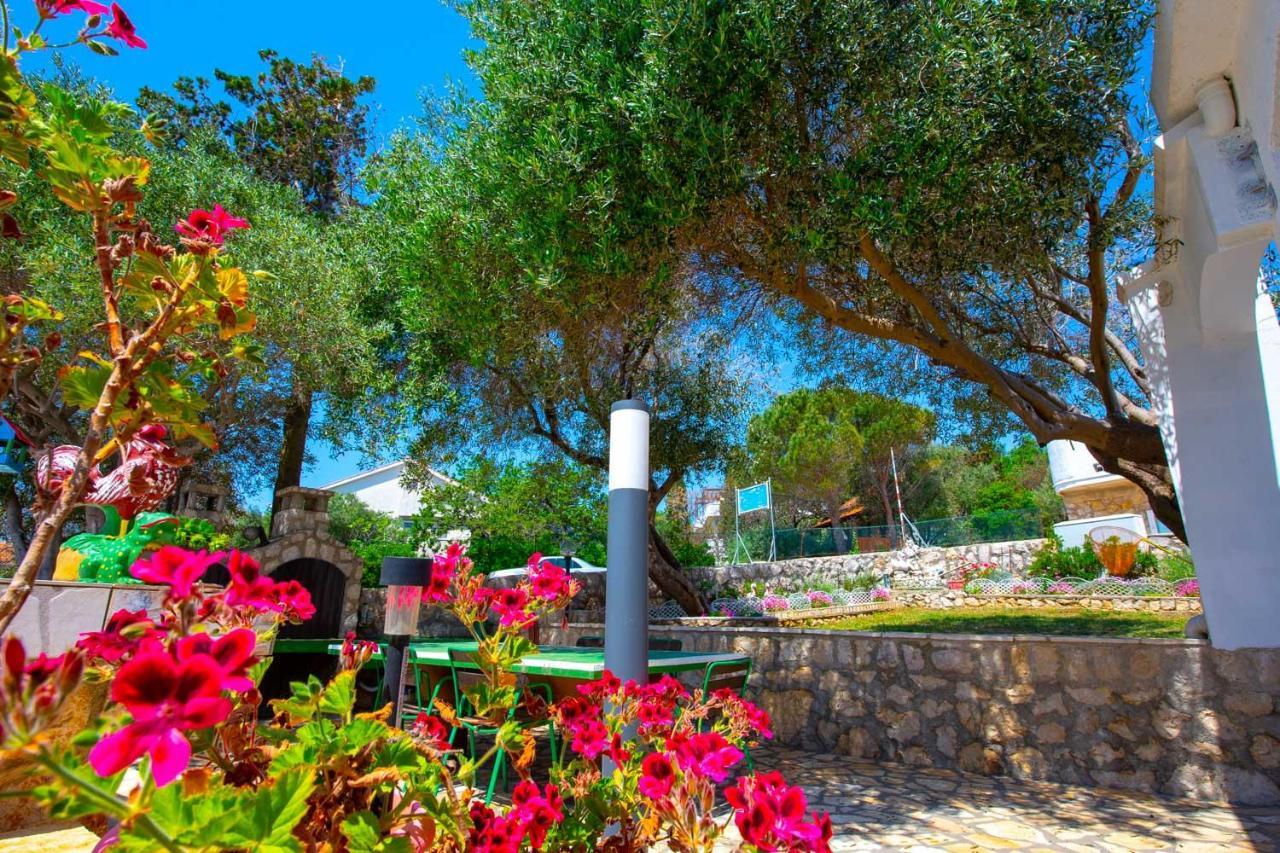 Apartment Garden - Ruzmarin
